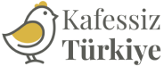 İlk Fırsat